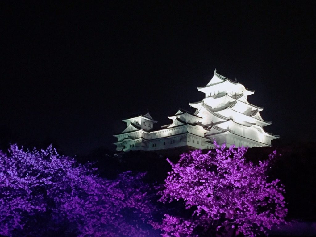 姫路城　夜景